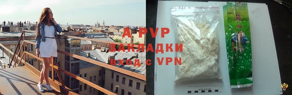 ГАЛЛЮЦИНОГЕННЫЕ ГРИБЫ Осинники