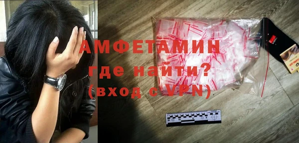 ГАЛЛЮЦИНОГЕННЫЕ ГРИБЫ Осинники