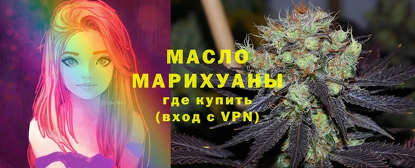дмт Осташков