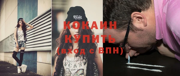 ГАЛЛЮЦИНОГЕННЫЕ ГРИБЫ Осинники