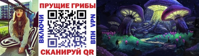 Галлюциногенные грибы Magic Shrooms  закладка  Салаир 